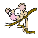 Monkey Image